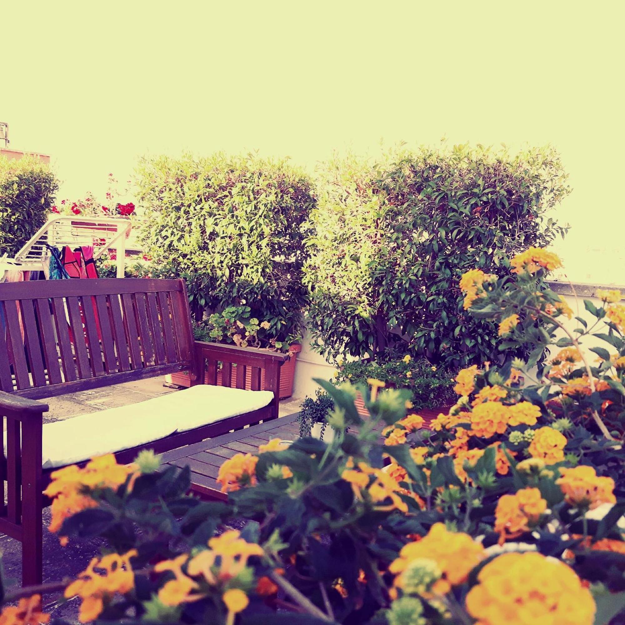 B&B Corte Regina Esther เวเญ ภายนอก รูปภาพ